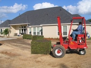 Can I Lay Sod in the Winter - Houston Grass South